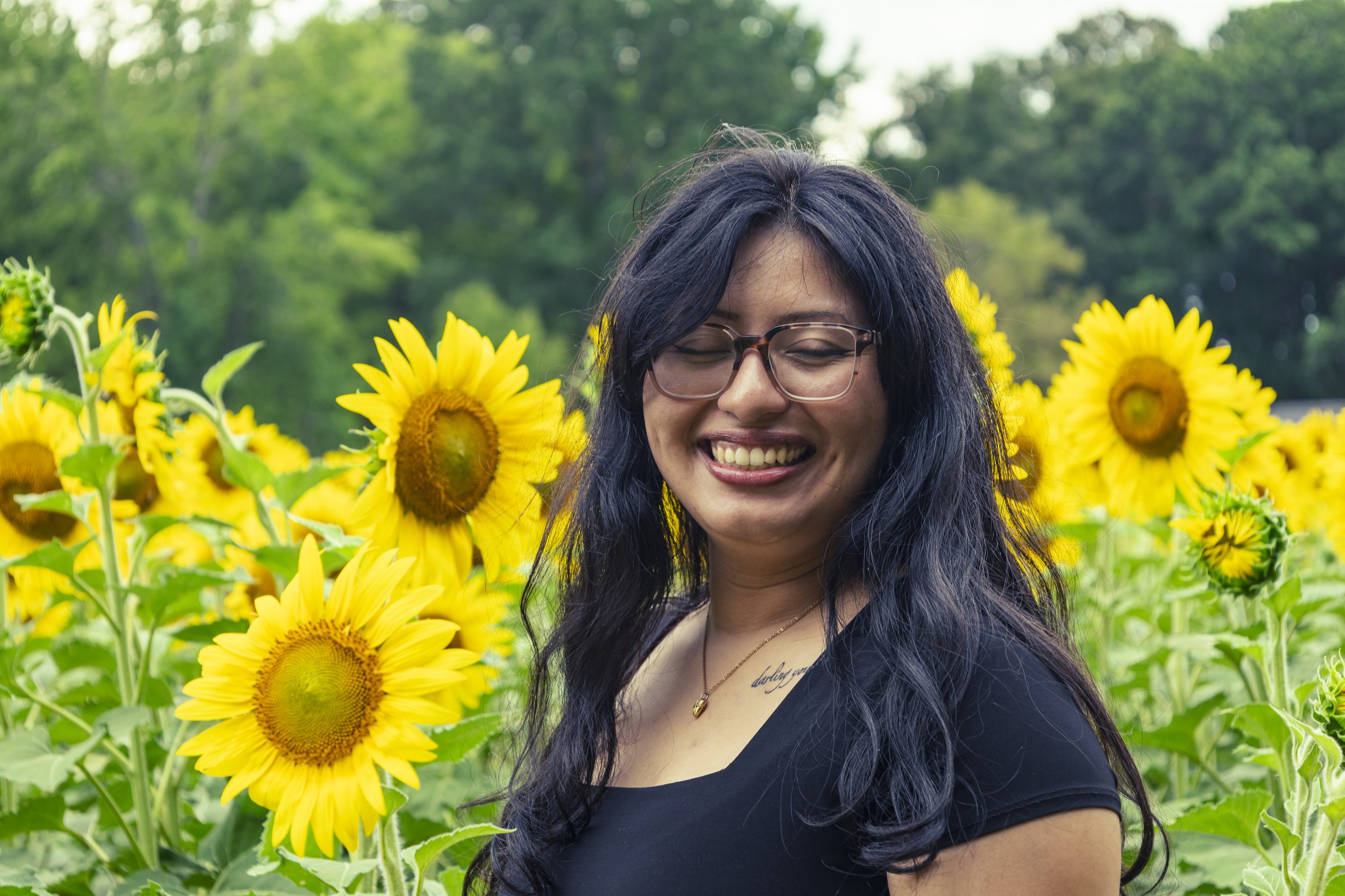 260712_sunflower field_00047.jpg