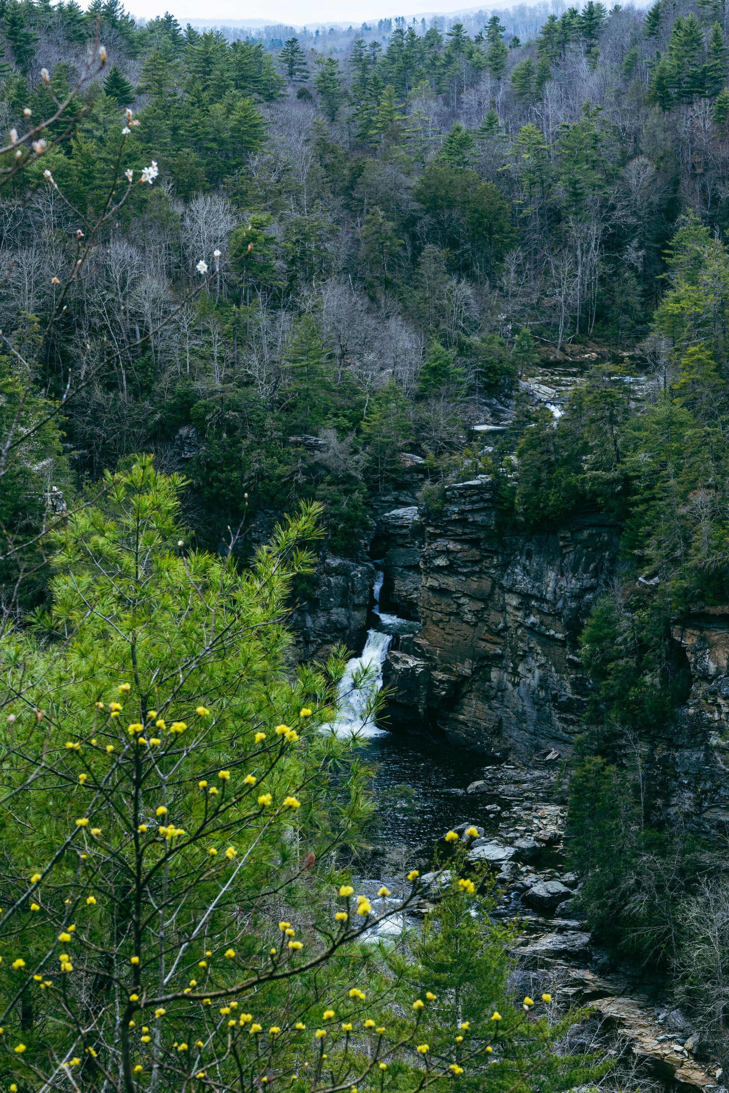 260404_waterfall_00112.jpg
