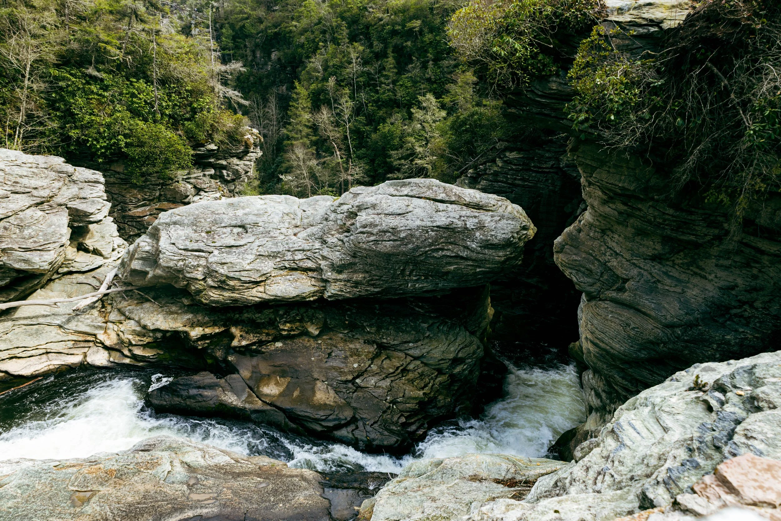 260404_waterfall_00032.jpg