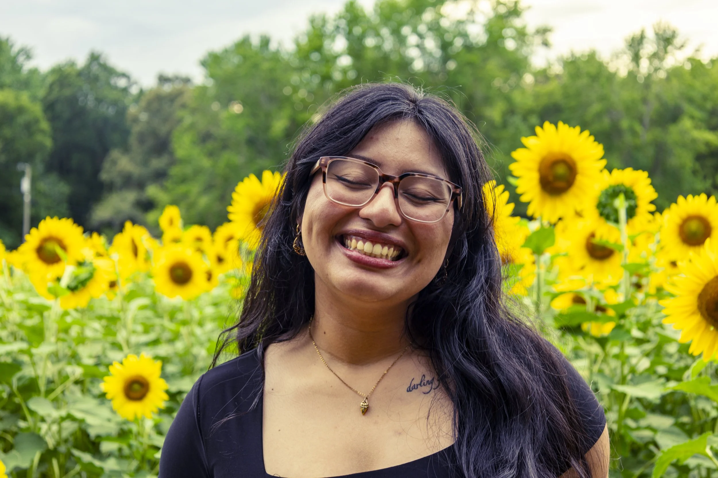 260712_sunflower field_00015.jpg