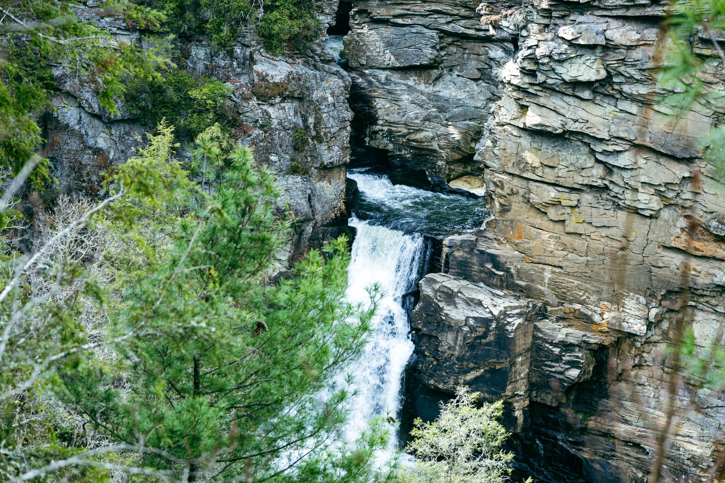 260404_waterfall_00083.jpg