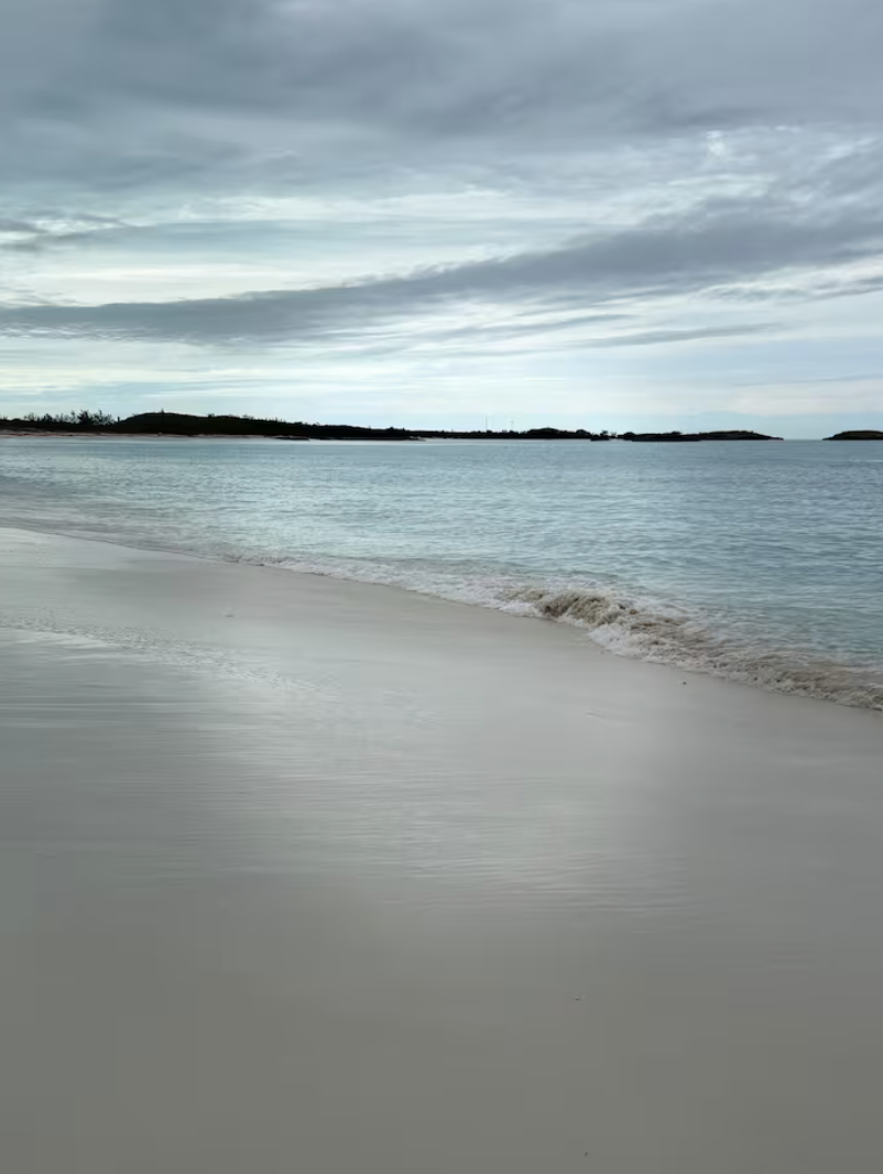 Screenshot 2026-02-06 at 7.06.39 PM.png