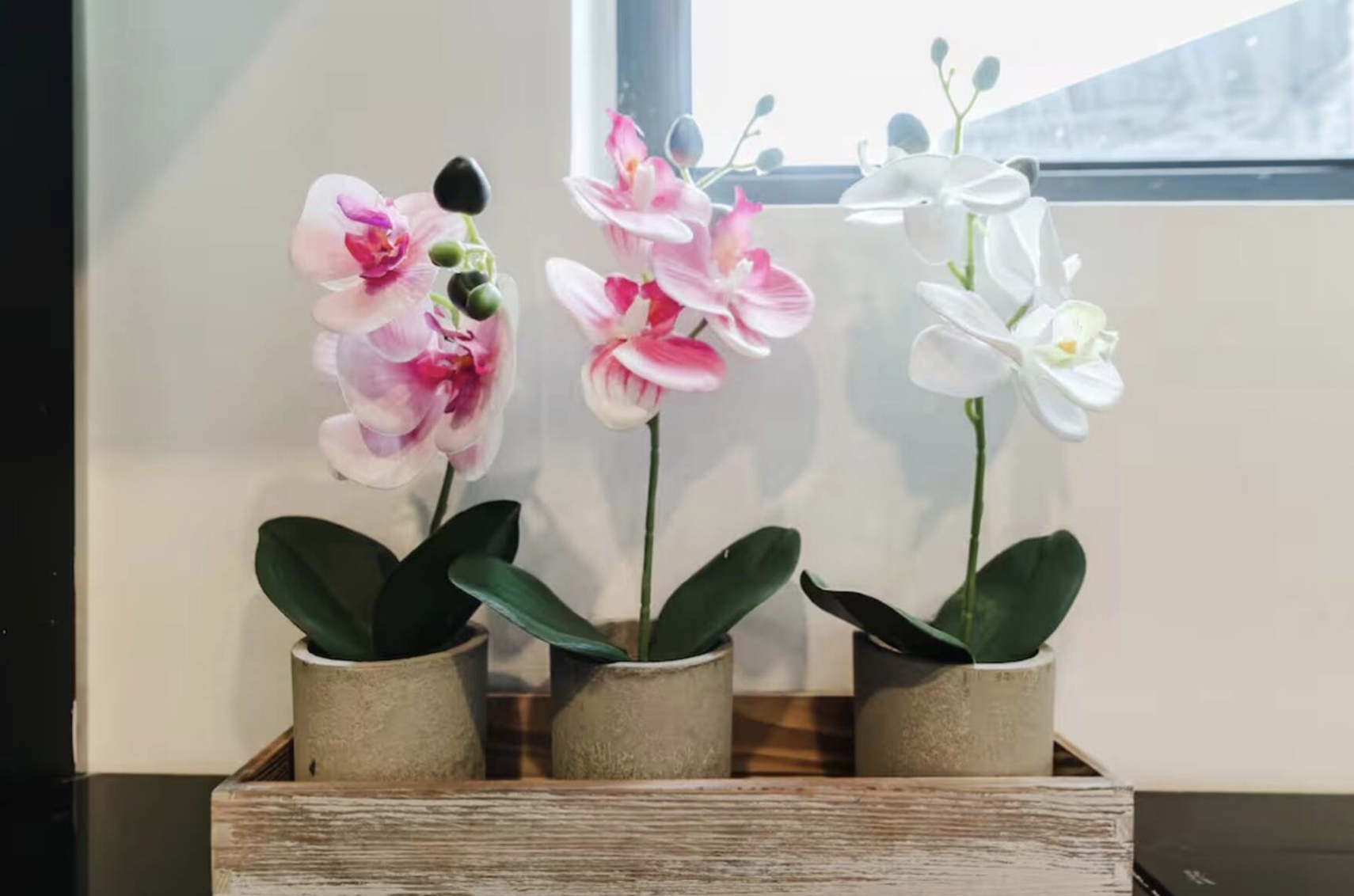 Screenshot 2026-03-19 at 2.15.02 PM.png