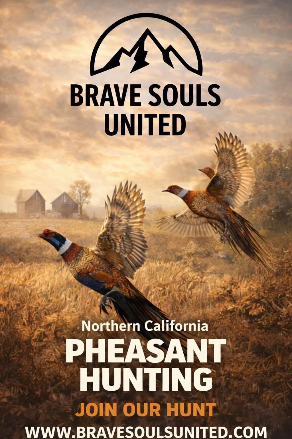 Northern California Pheasant Hunting