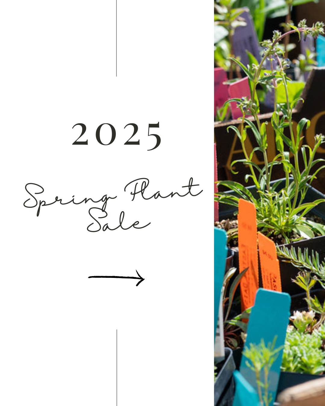 Hoover, Laura 4.2024 Post 2.png