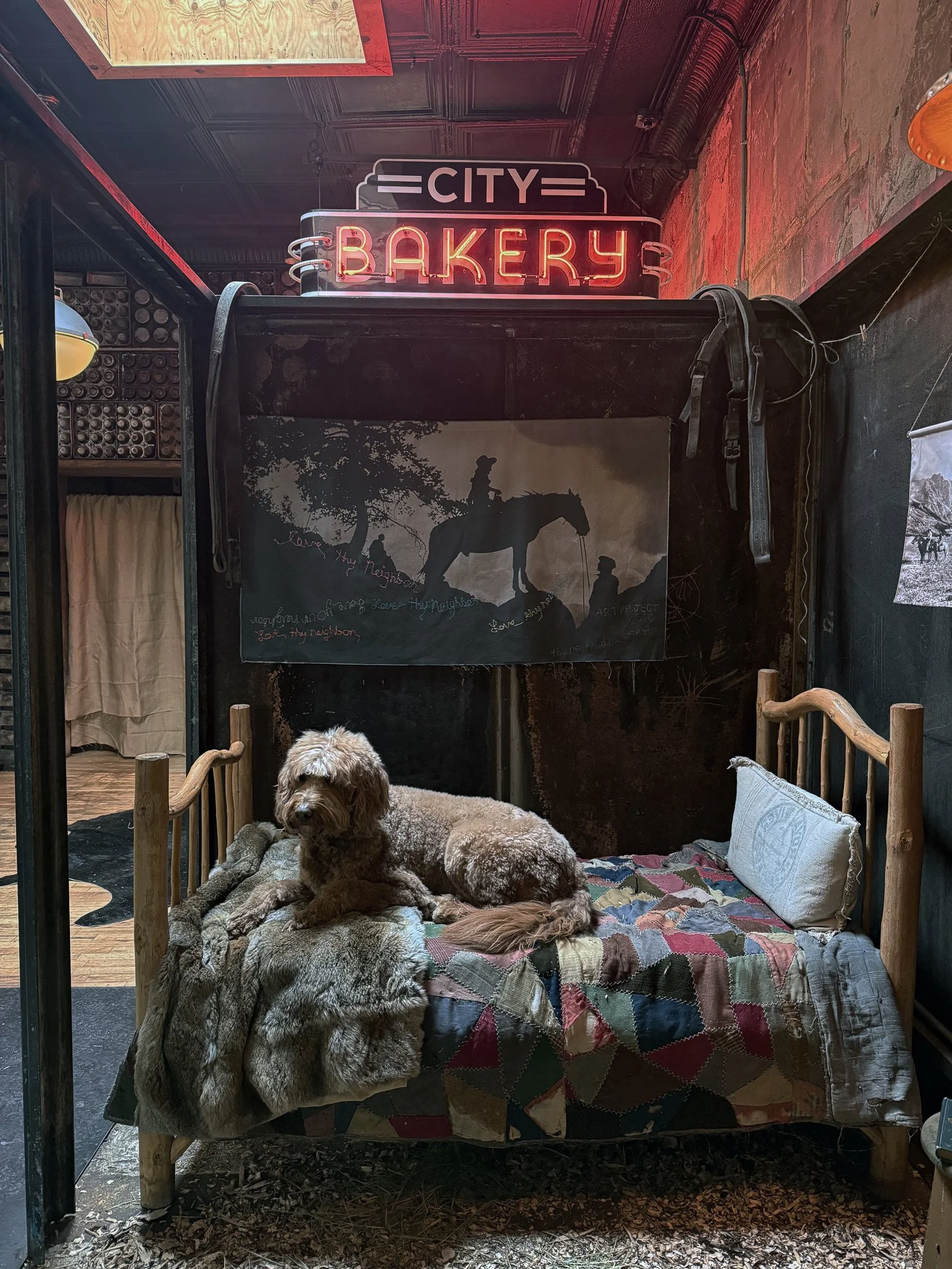 wallace on bed PK.jpg