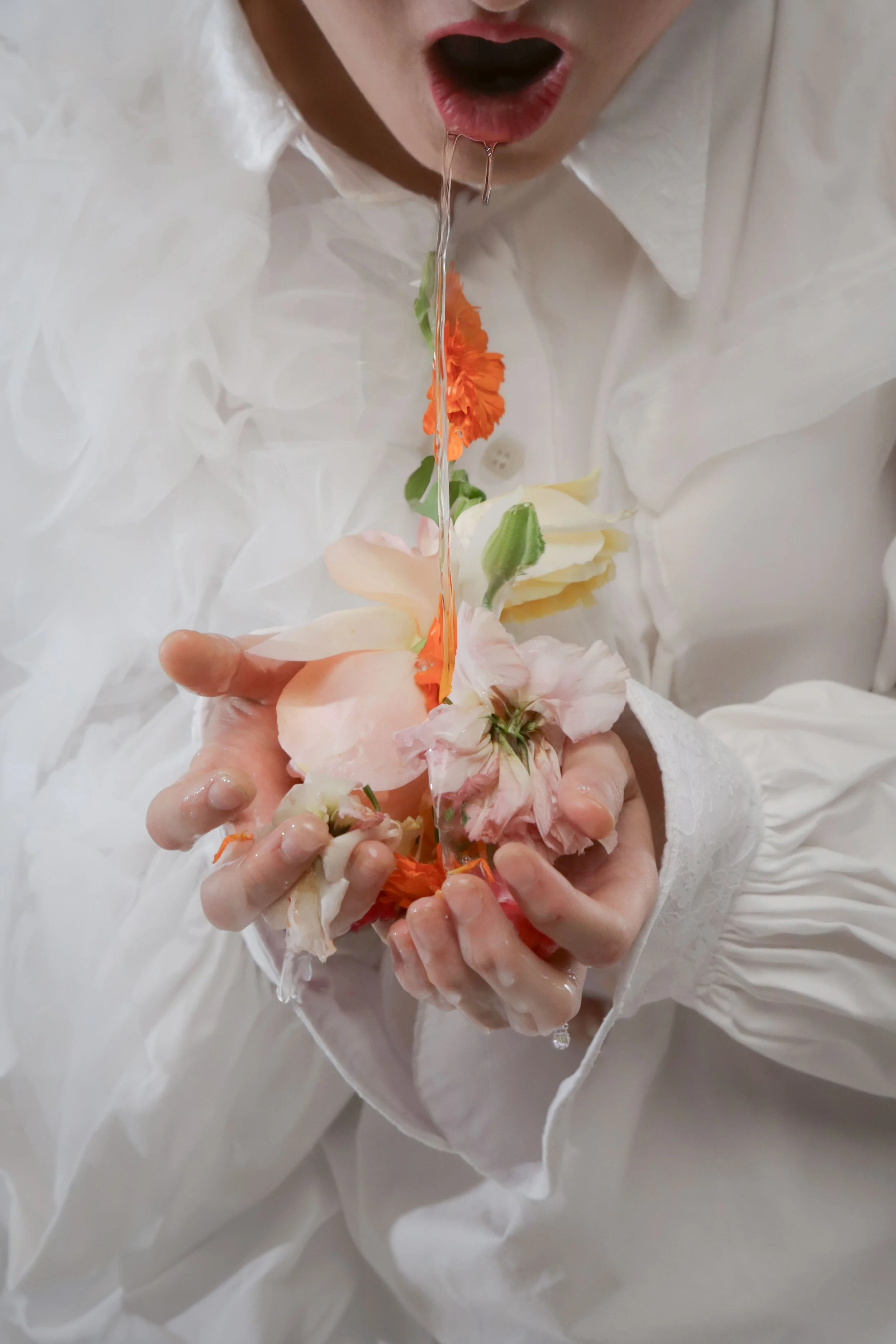 IMG_7201_1-a_1 (1).jpg