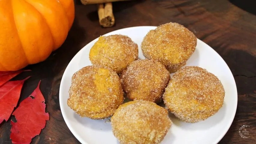      
  
















   
    
      
    
     
       
        
       
     
    
    



   


 
  
 

         
  
    
Soft &amp; Fluffy Pumpkin Doughnut Bites Recipe   
How to make donut bites with pumpkin and covered with cinnamon-sugar.  