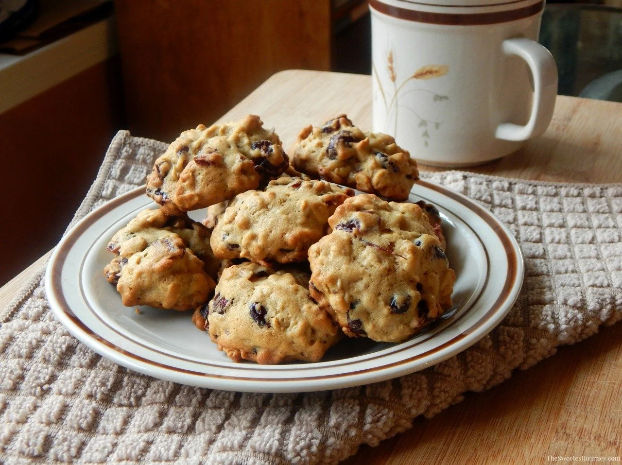Cranberry Oatmeal Cookies Recipe