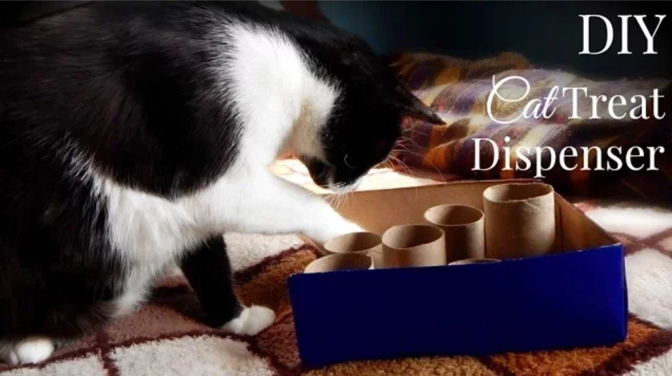 DIY Cat Toys: How to Make a Cat Treat Dispenser