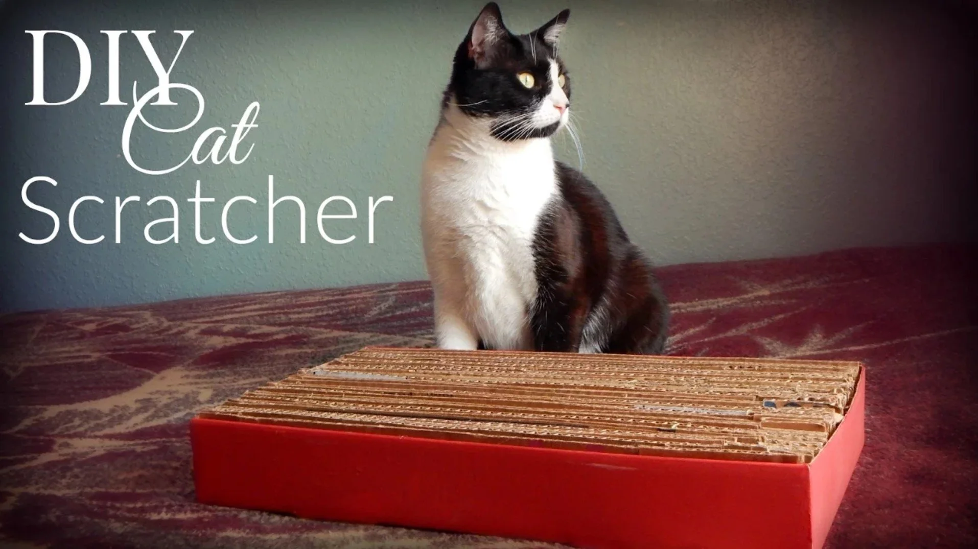 DIY Cat Toys: Cardboard Cat Scratcher