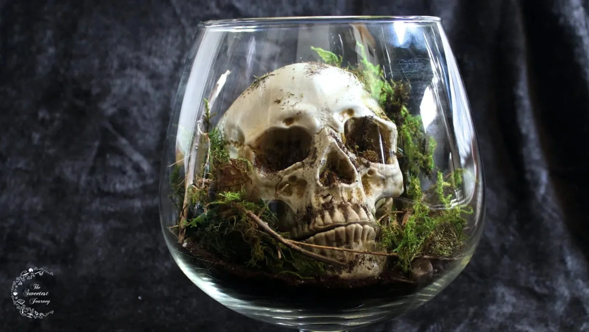 Spooky Skull Terrarium | DIY Halloween Decorations