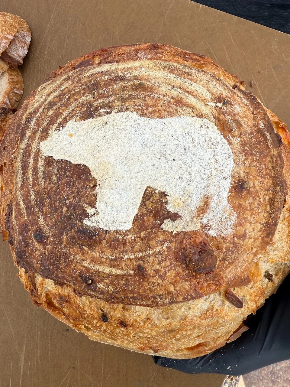 Image © Jennifer Saucier