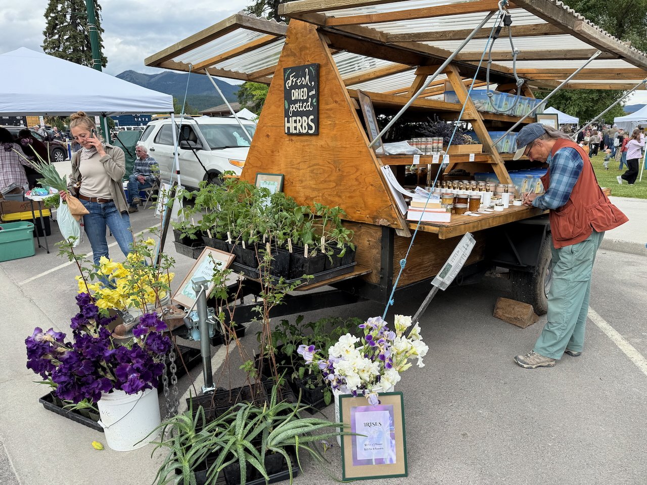 Image © Jennifer Saucier