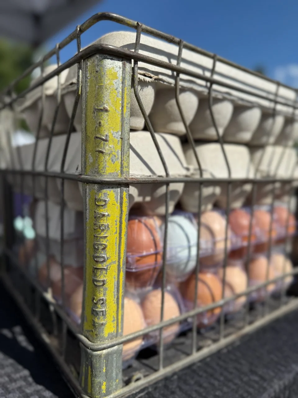 Image © Jennifer Saucier