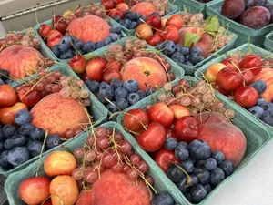Whitefish Farmers Market