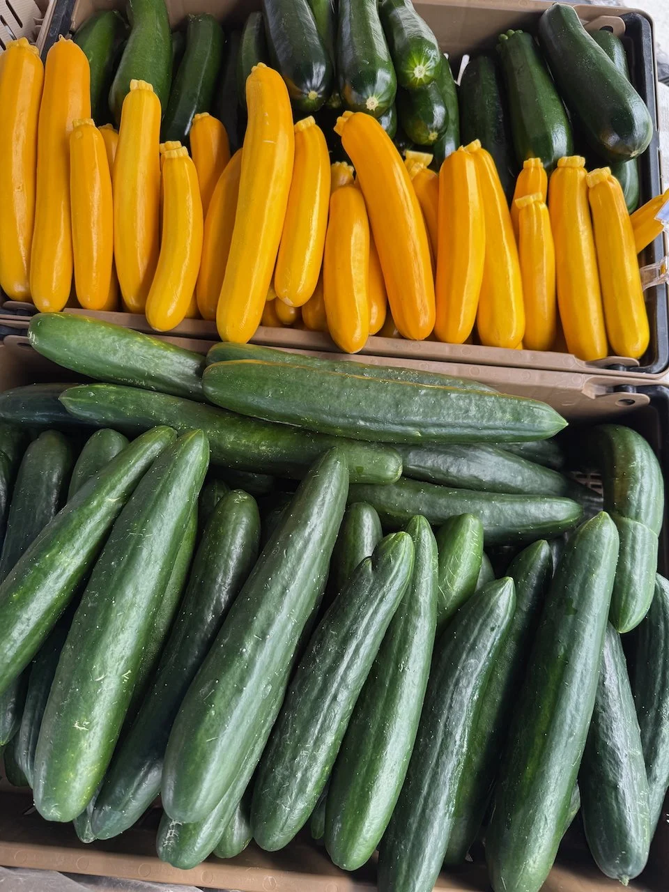 Image © Jennifer Saucier