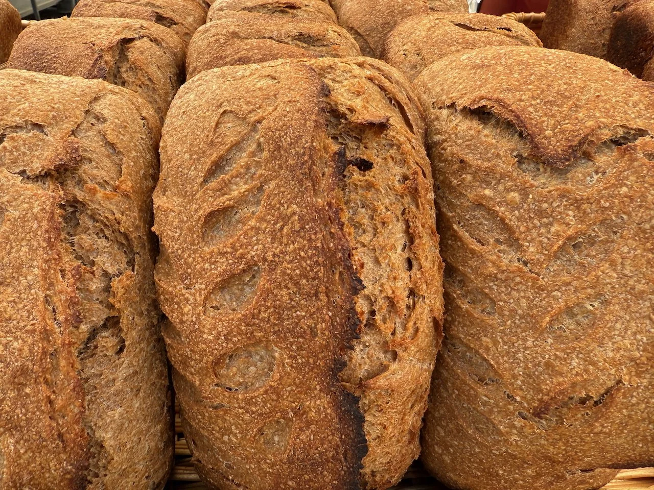 Image © Jennifer Saucier