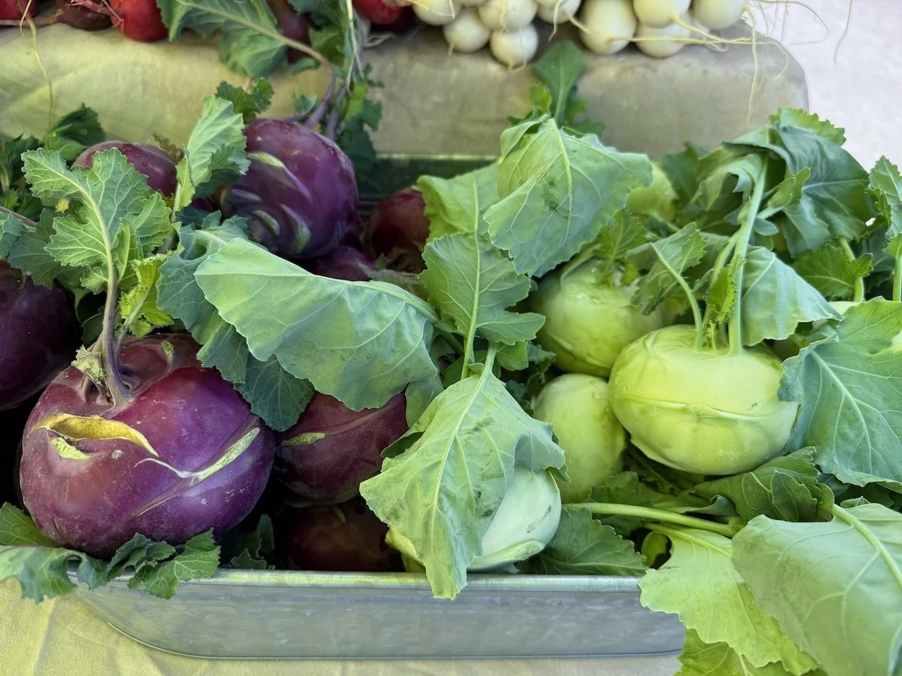 Image © Jennifer Saucier