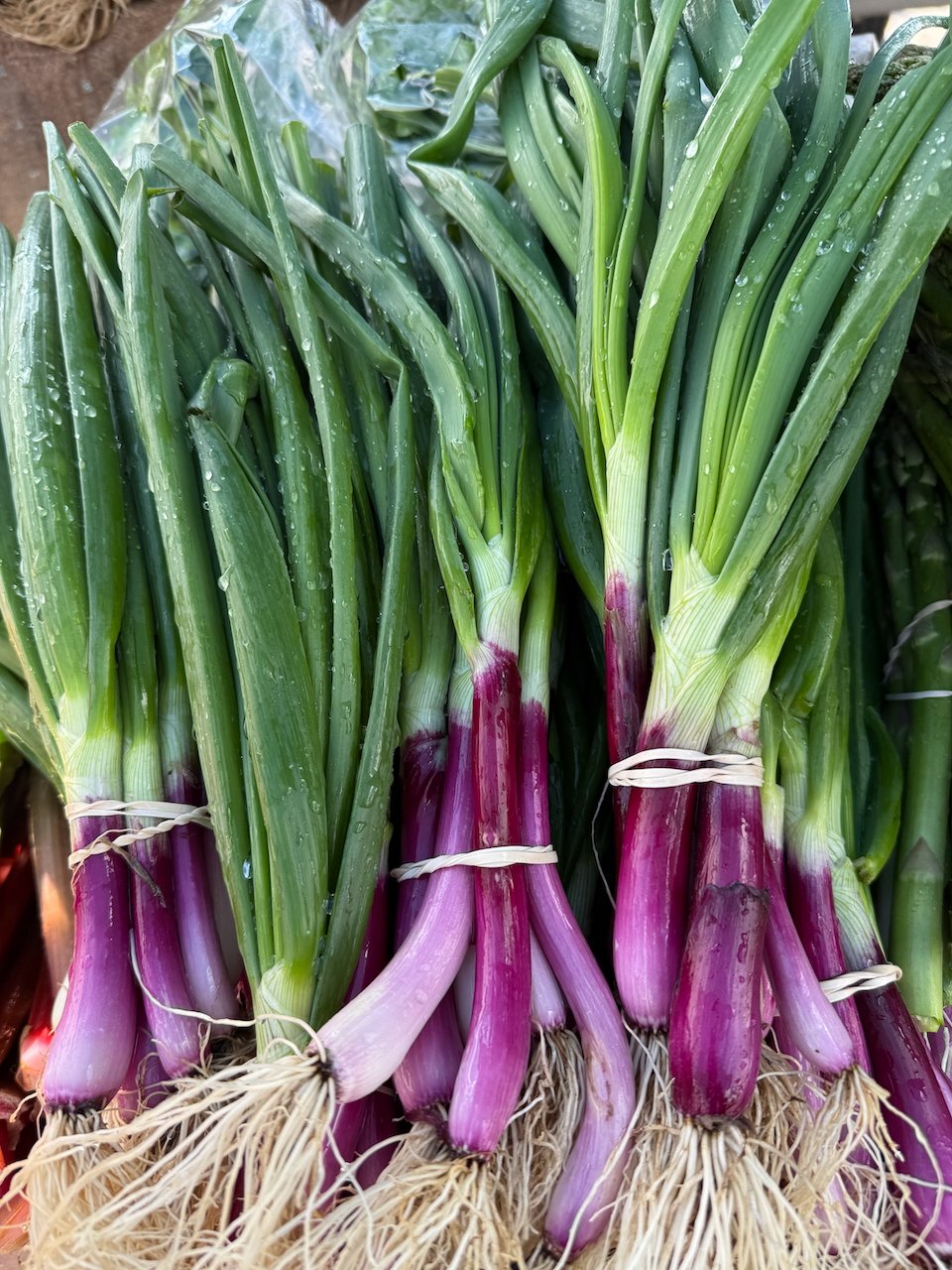 Image © Jennifer Saucier