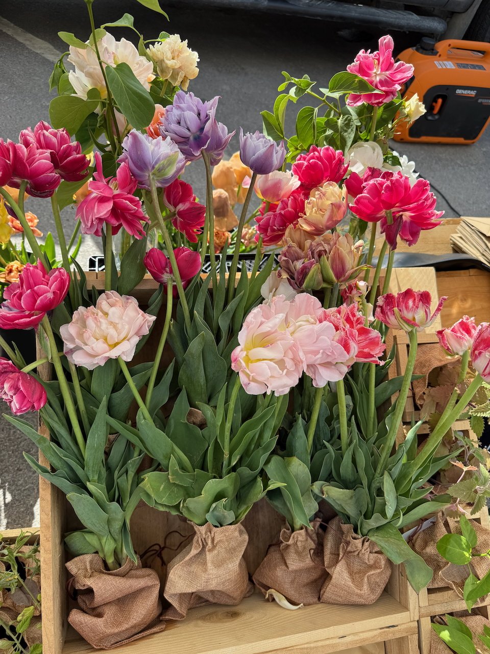 Image © Jennifer Saucier