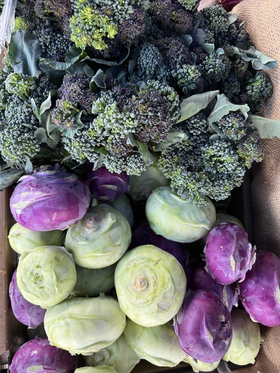 Image © Jennifer Saucier