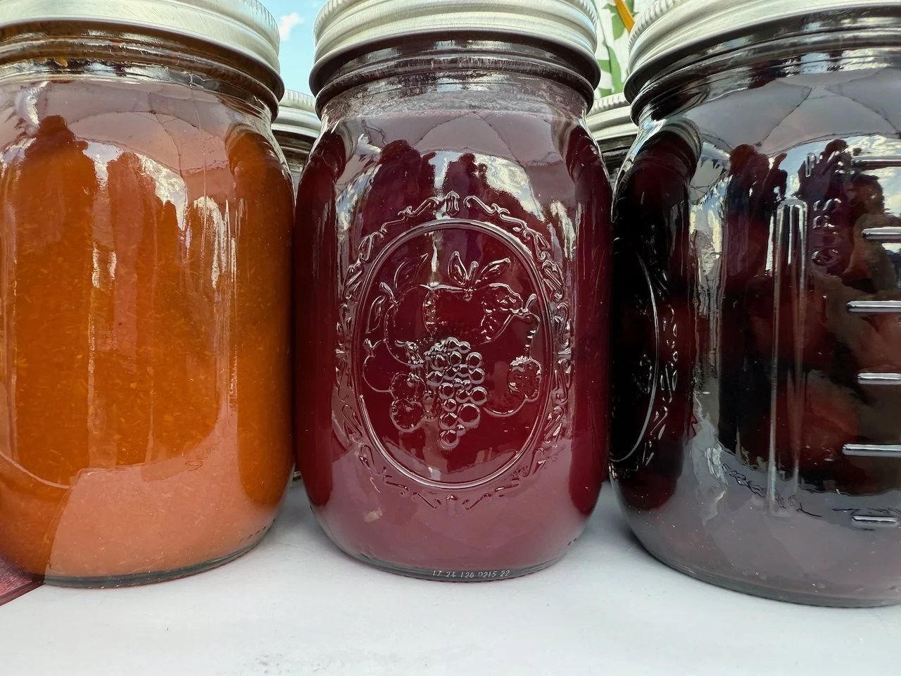 Image © Jennifer Saucier