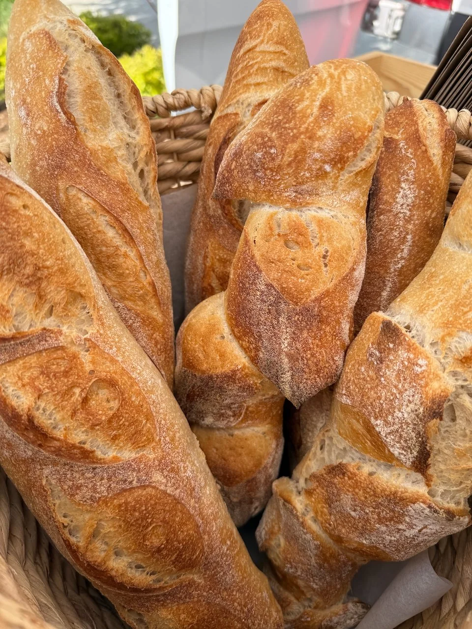 Image © Jennifer Saucier