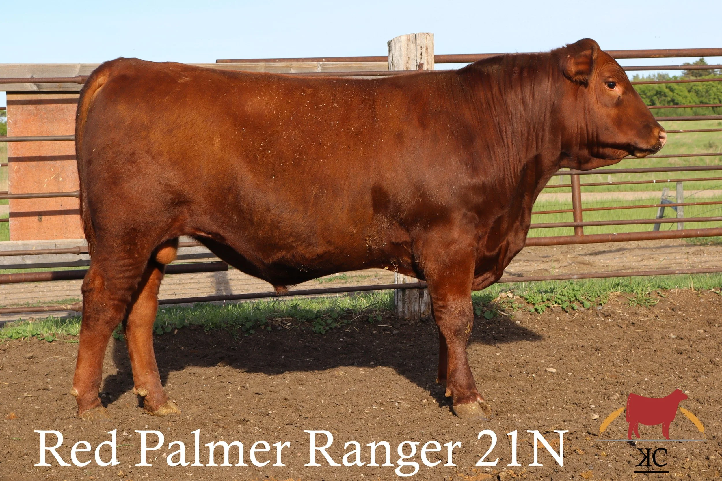 21N pictured on june 13