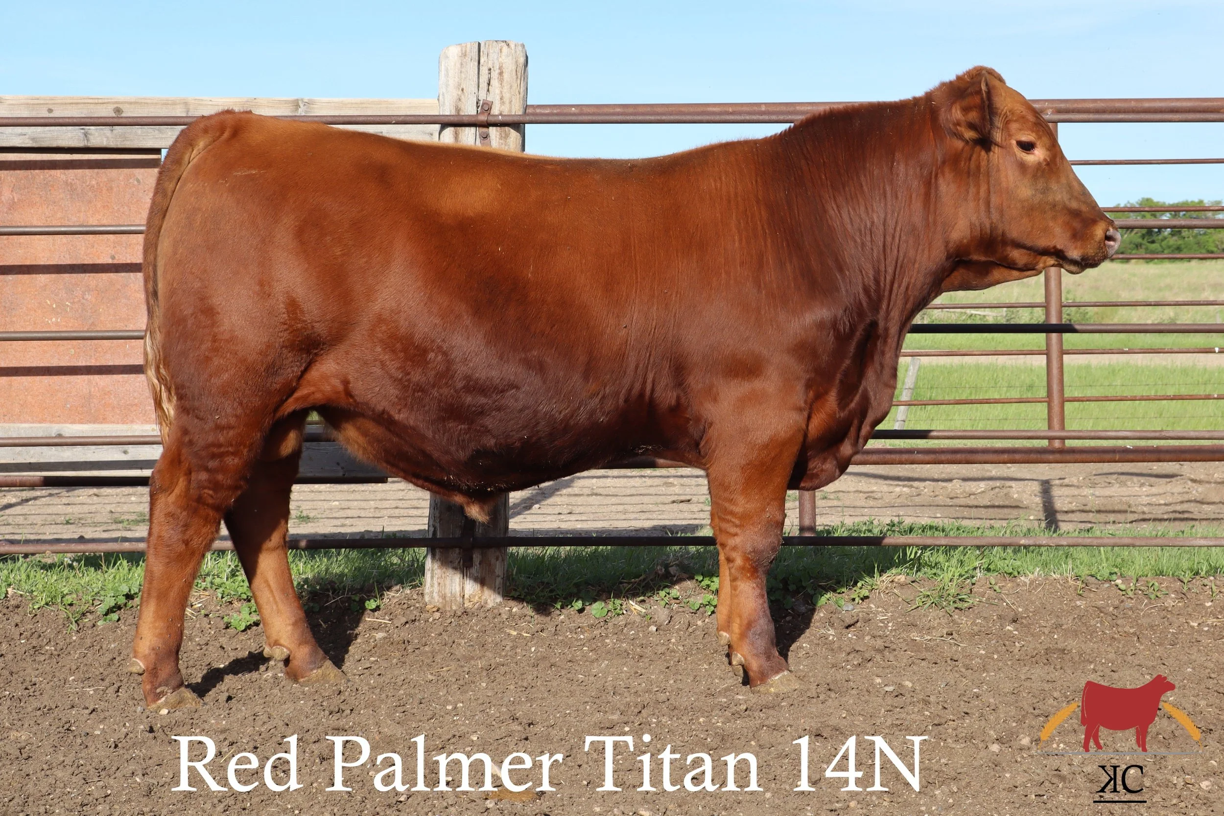 14N pictured on june 13