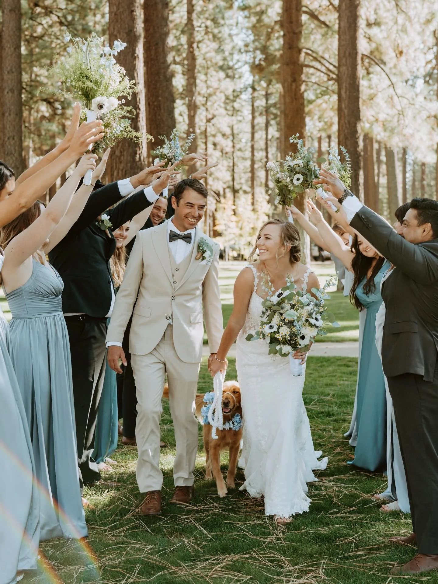 Highlights from C&amp;E&rsquo;s beautiful Tahoe wedding ✨
.
&mdash;Vendor team&mdash;
Photographer: @jessholle
Event planner: @true_events_tahoe
Makeup: @lucidhairdesign
Hair: @briellenicolebeauty
Wedding dress: @ladyluckbridal
Catering: @bvbistrocat