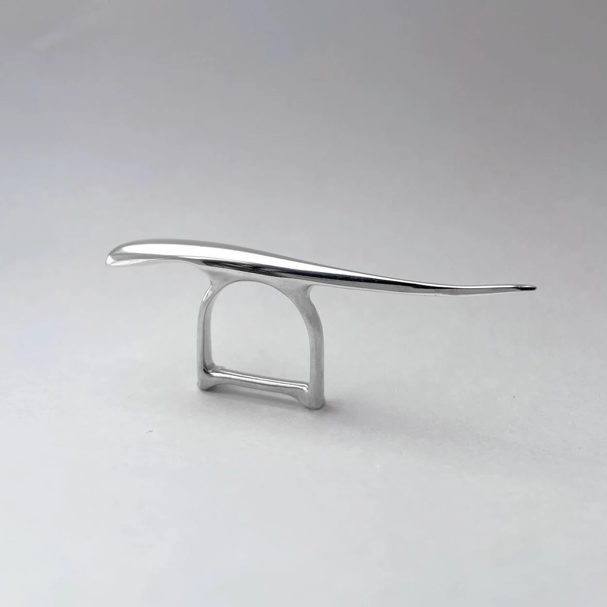 didi_Original (1).JPG