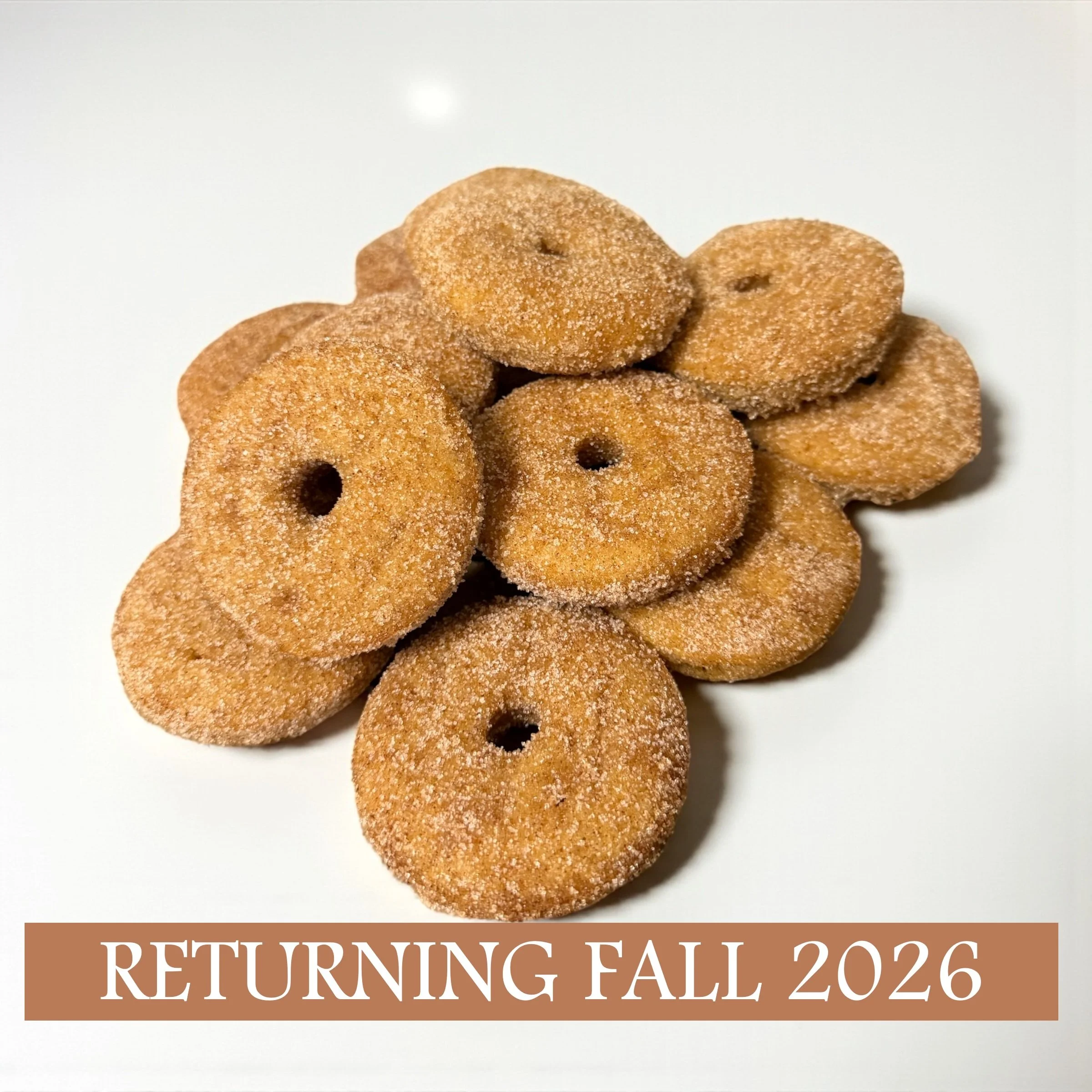 Apple Cider Donuts (14 count)