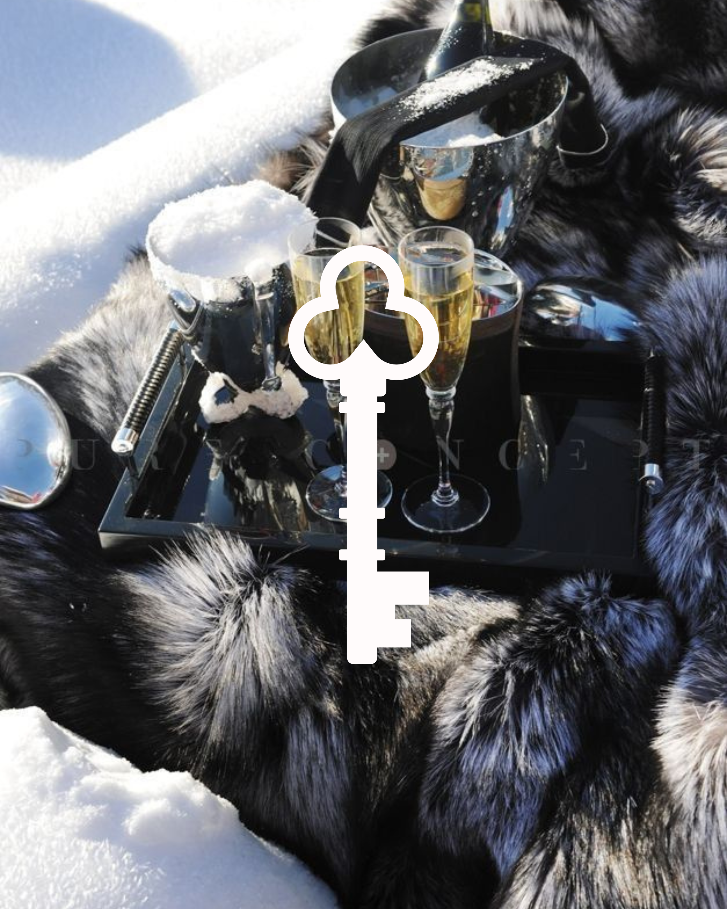 12.png (Copy)