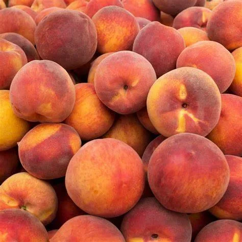 Colorado Peaches