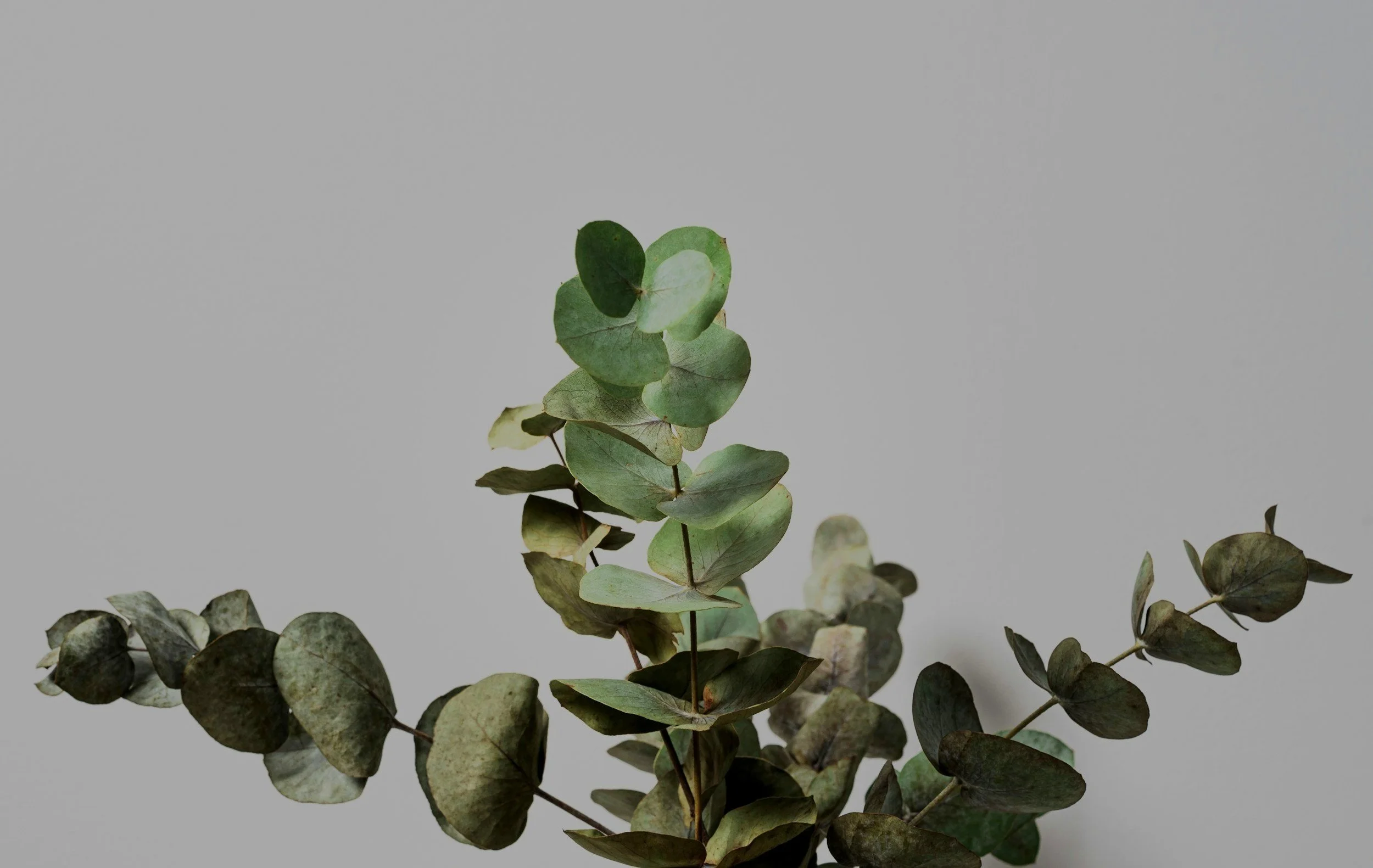 unsplash-image-PwCNGxJd8hs.jpg