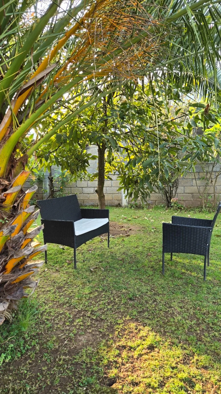 WhatsApp Image 2026-01-27 at 1.33.44 PM.jpeg