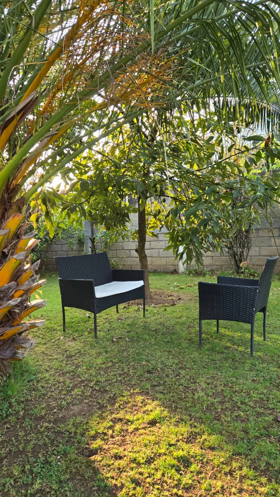 Áreas de terapia al aire libre