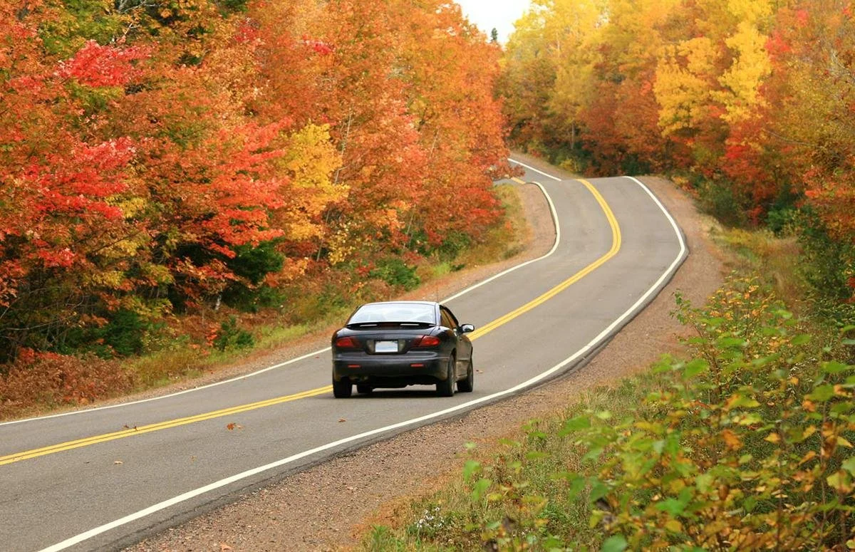 Road Safety 101: Driving on Rural Roads