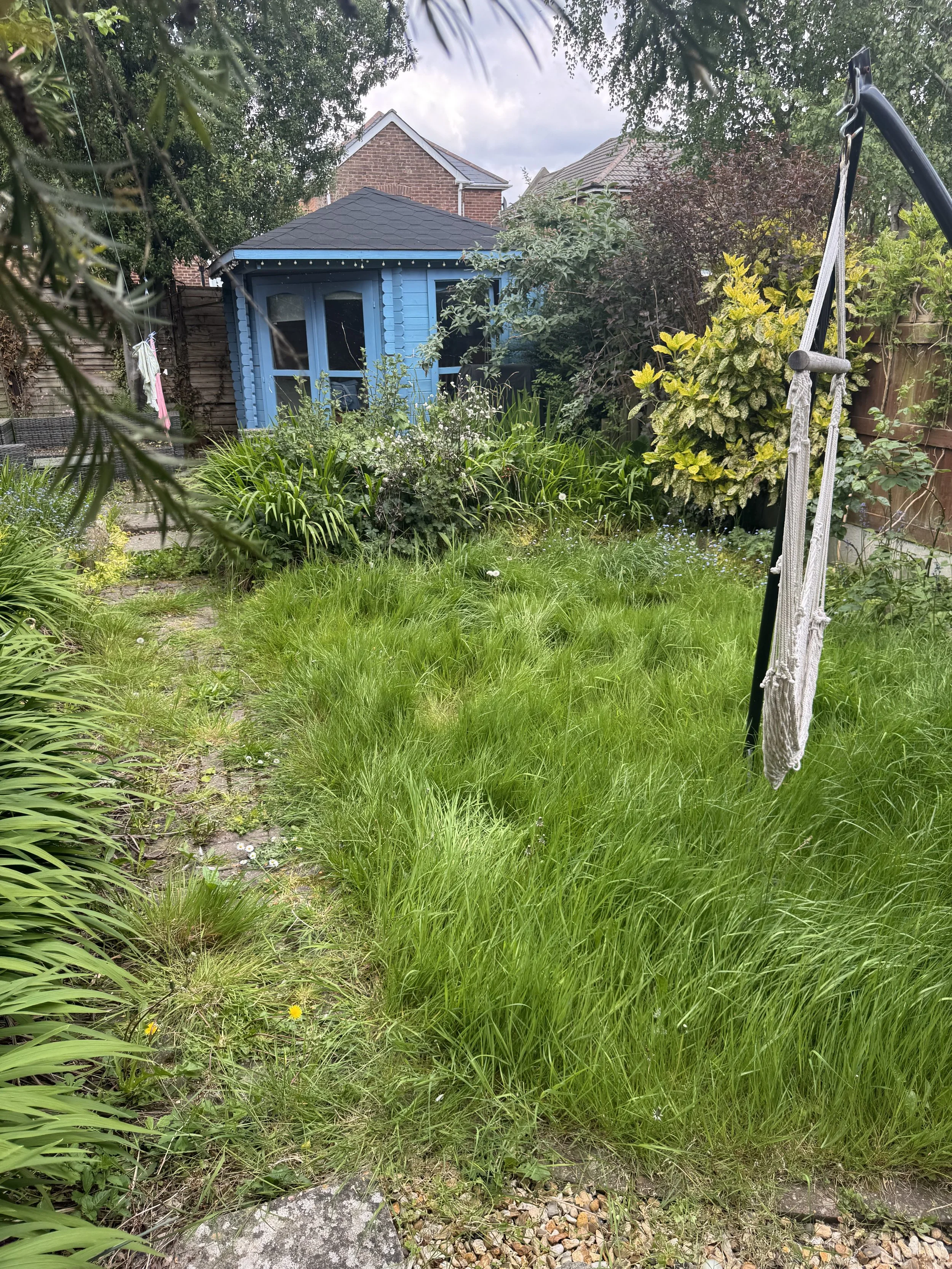 Overgrown garden before clearance, with long grass and vegetation surrounding a blue shed
