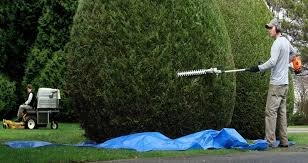 Deux personnes entretenant un jardin, l'une utilisant un taille-haie, l'autre tondant la pelouse.