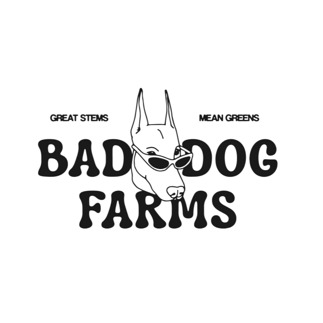 A logo for 'Bad Dog Farms' featuring a black dog wearing sunglasses with the text 'Great Stems' on the left and 'Mean Greens' on the right, in a stylized font.