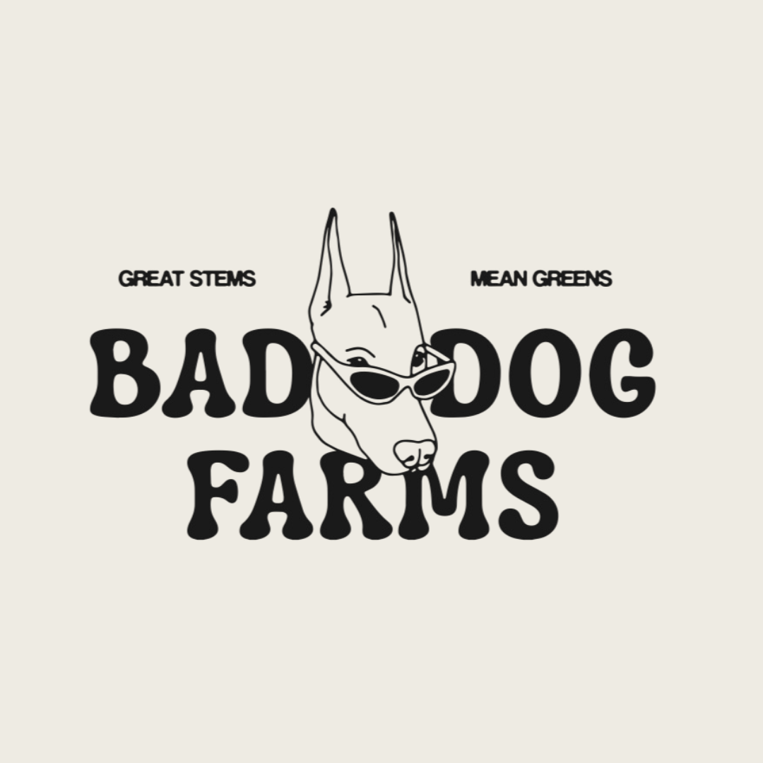 Logo for Bad Dog Farms featuring a dog wearing sunglasses, with the words Great Stems on the left and Mean Greens on the right, surrounded by the words Bad Dog Farms in bold letters.