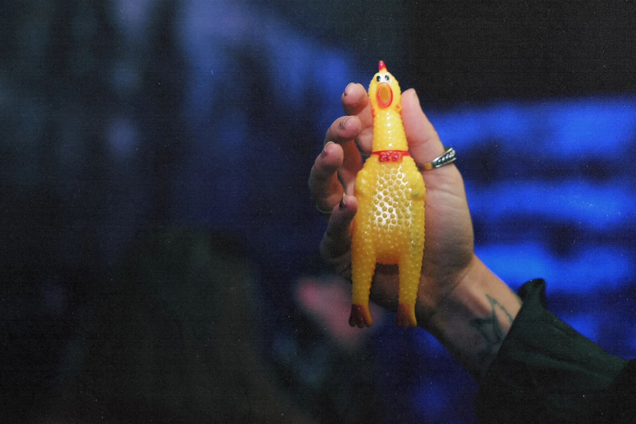 A hand holding a yellow rubber chicken toy with red accents, orange beak, and big eyes, against a dark background with blue lighting.