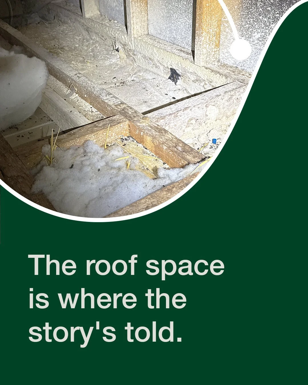 A day in the roof space.  This is where the story is often told, framing condition, insulation, signs of past leaks. We take our time up here.  DM us if you've got a property coming up. 

#BuildingInspector #Melbourne #PropertyBuying #bayside