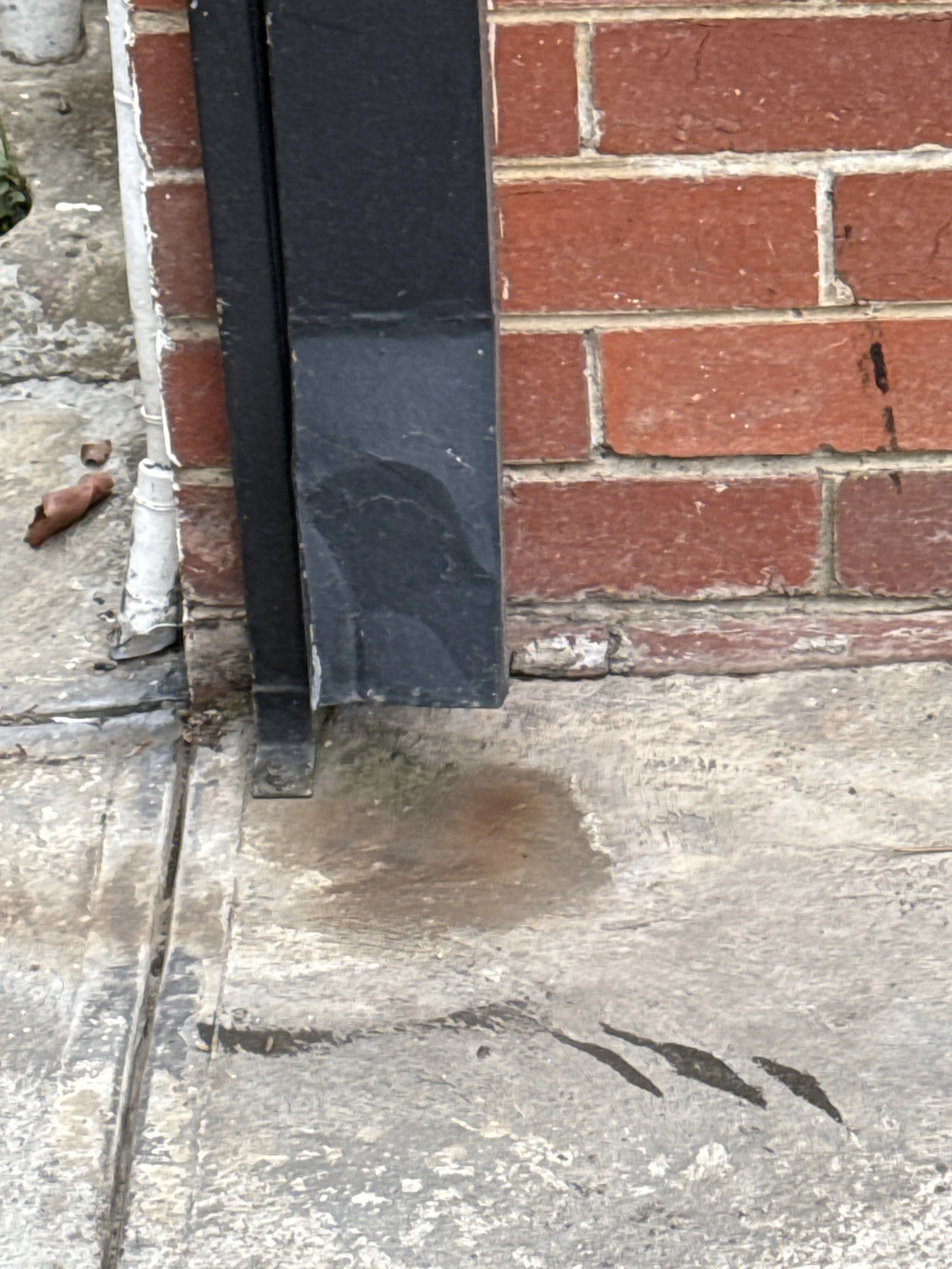 New Build, Old Problem: Why Brand-New Homes in Melbourne's Growth Corridors Still Fail Termite Conditions