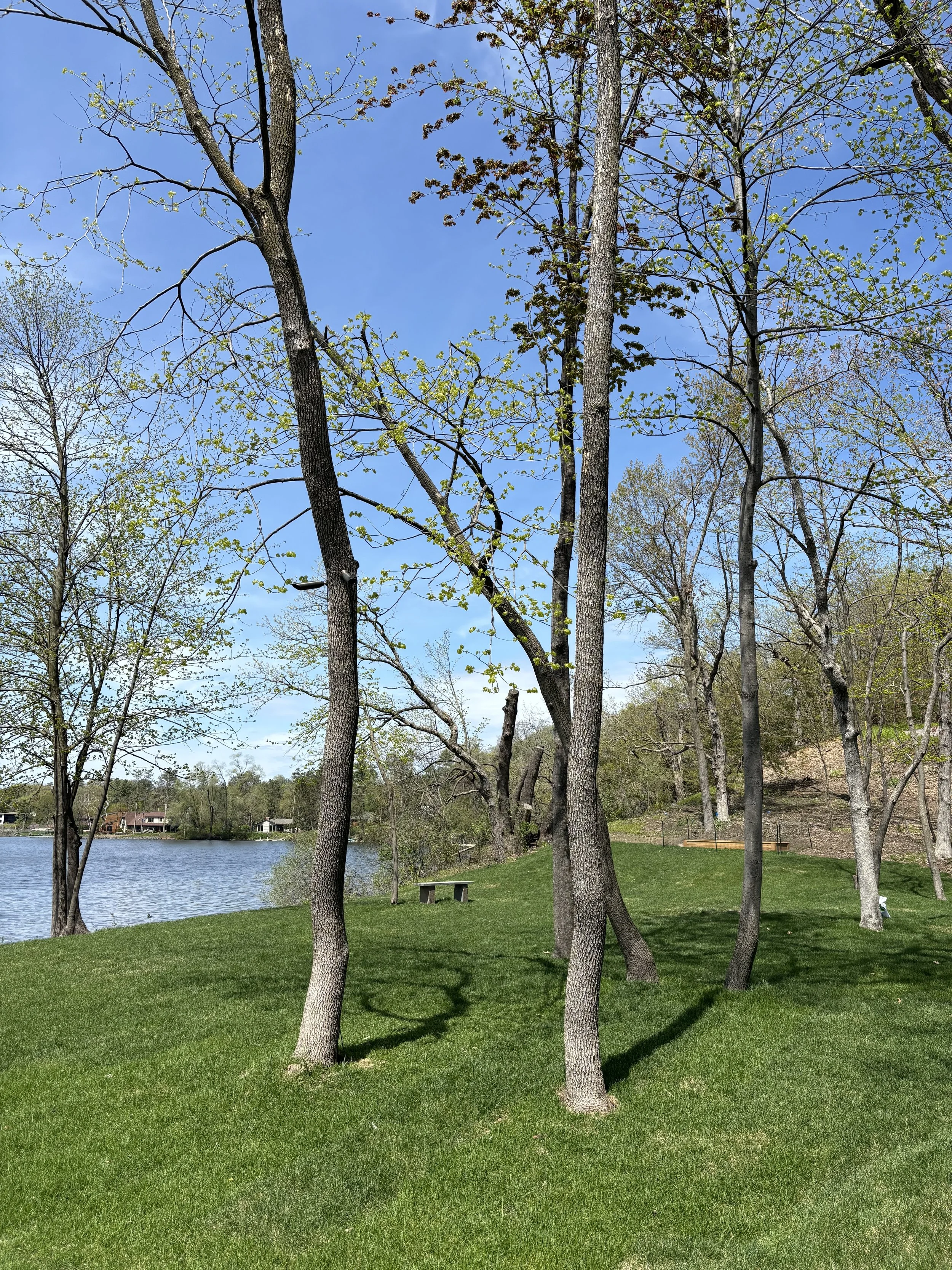 Sod Installer Hudson