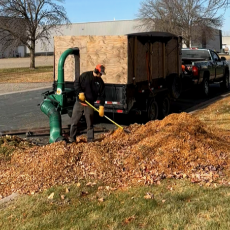 View recent photos.png