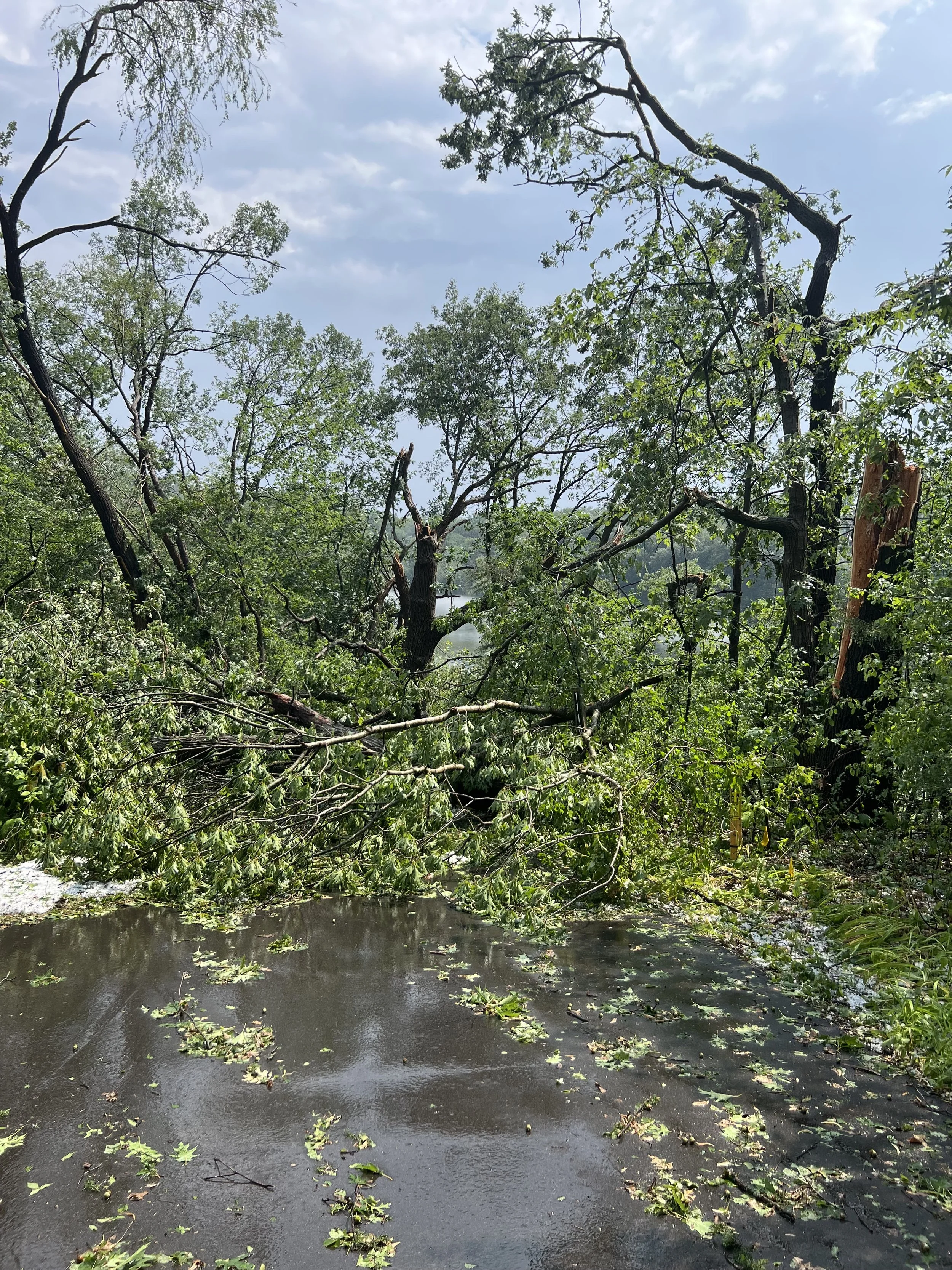 Storm Clean Up Service