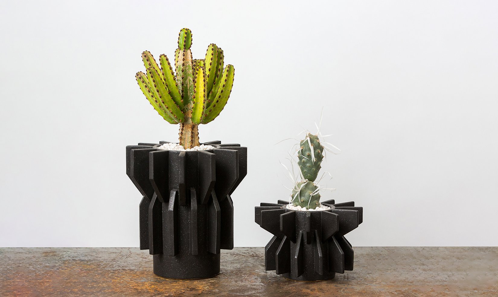 Ben-Medansky-vessels-plants-persephone1.jpg